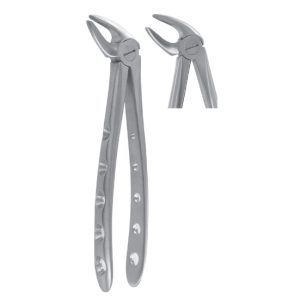 Extracting Forceps