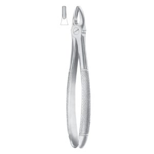 Extracting Forceps
