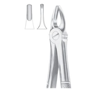 Extracting Forceps