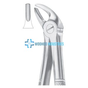 Extracting Forceps