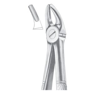 Extracting Forceps