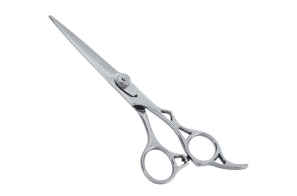 Professional hair cutting scissors