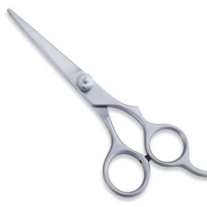 ProCraft Hair Shears